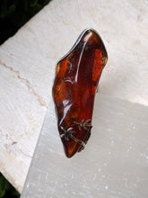 Load image into Gallery viewer, S.S. Shlomo Amber Adjustable Rings
