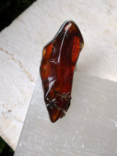 Load image into Gallery viewer, S.S. Shlomo Amber Adjustable Rings
