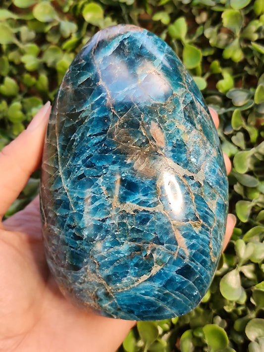 Apatite Arches 4.5"
