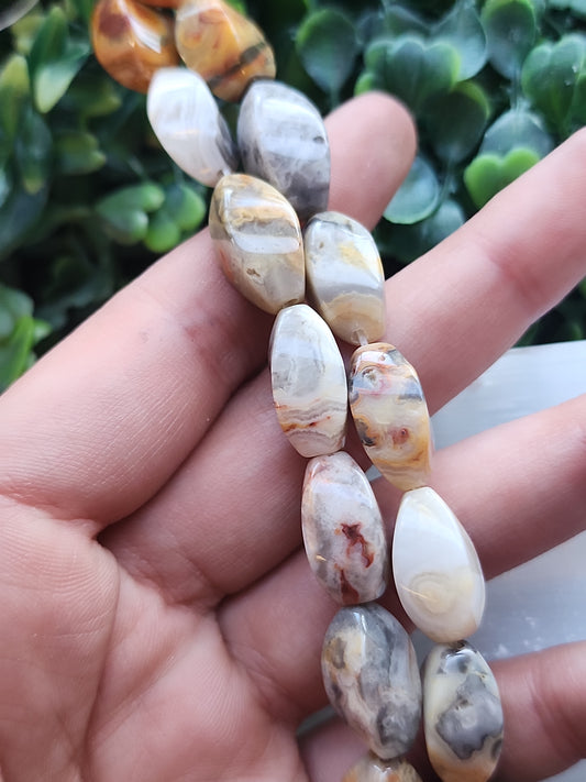 Crazy Lace Agate Twist Beads