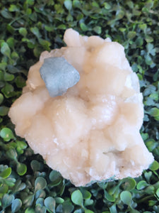 Apophyllite with Aquamarine