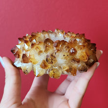 Load image into Gallery viewer, Flower Citrine Candle Holders
