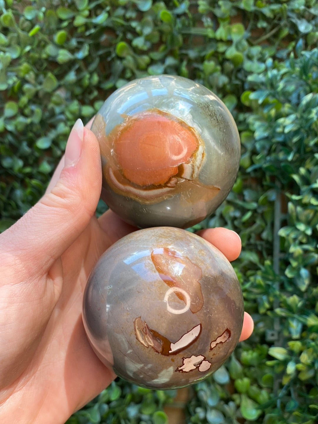 Desert jasper spheres available at wholesale and retail prices, only at our crystal shop in San Diego!