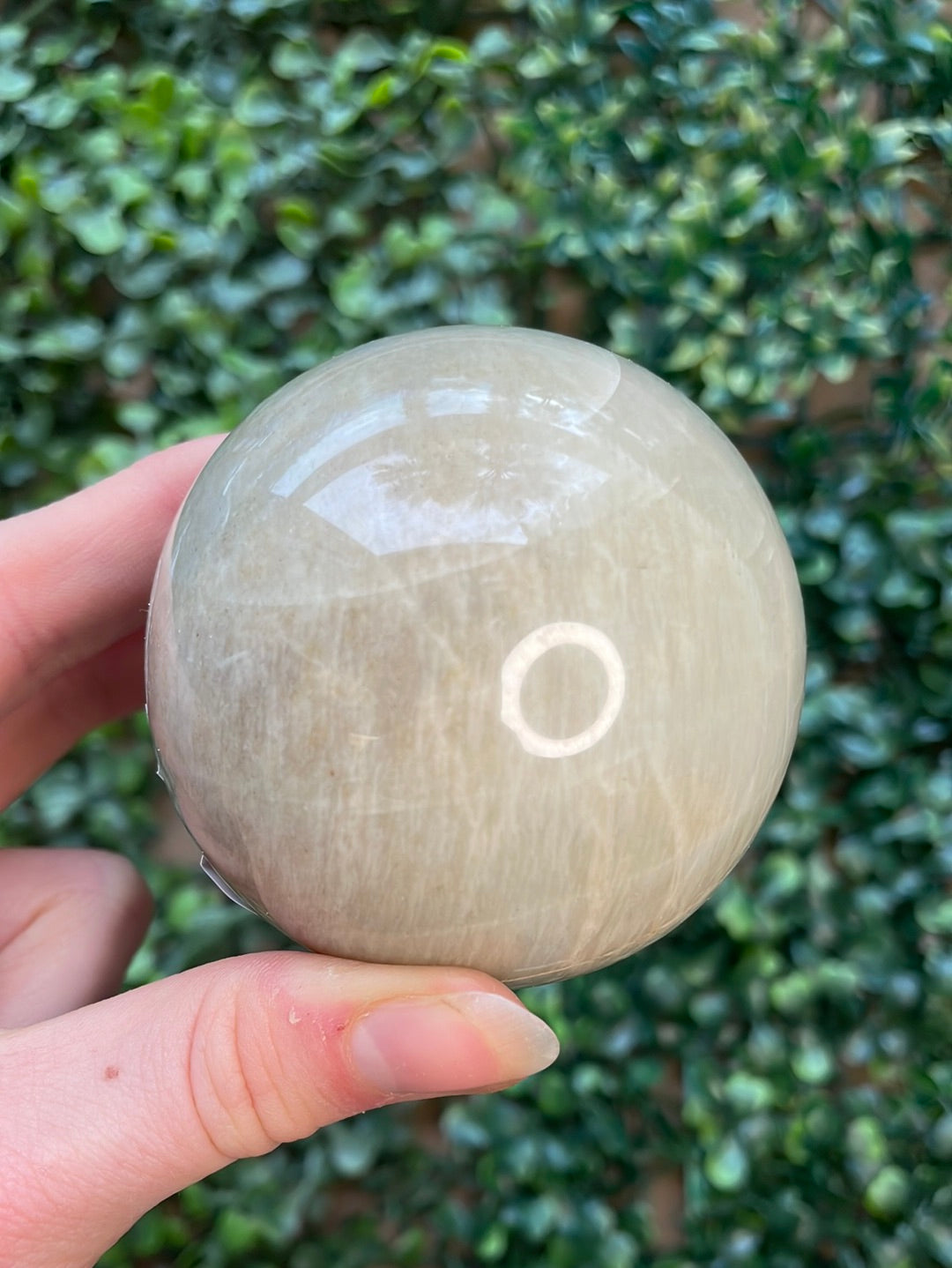 Green Moonstone Spheres 2.5"