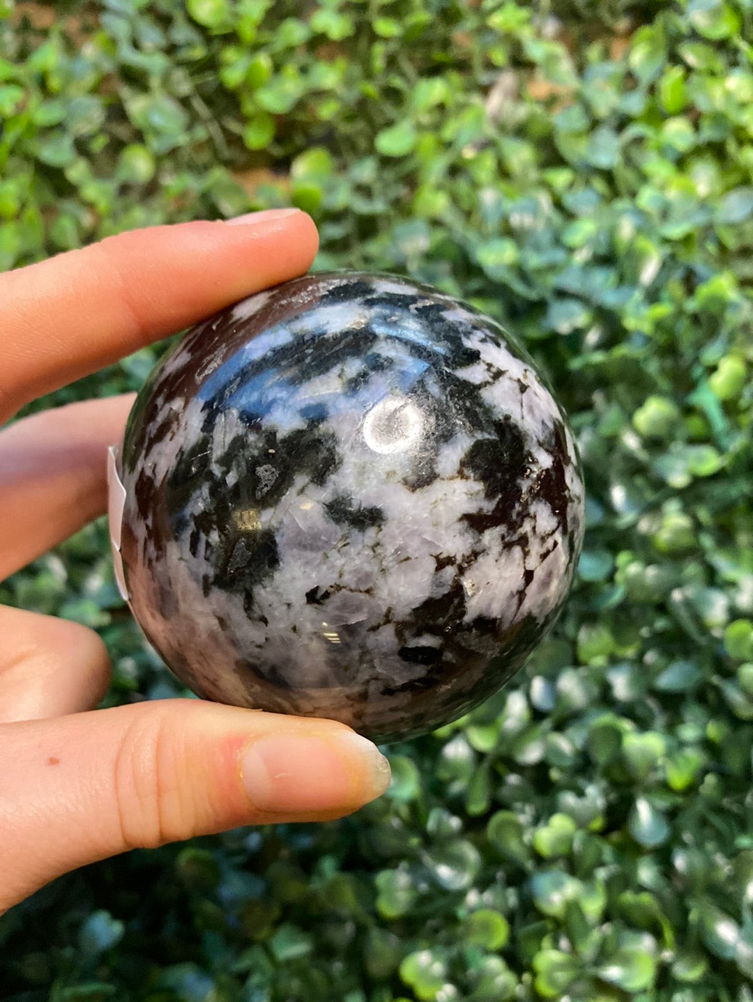 Mystic merlinite spheres available at wholesale and retail prices, only at our crystal shop in San Diego!