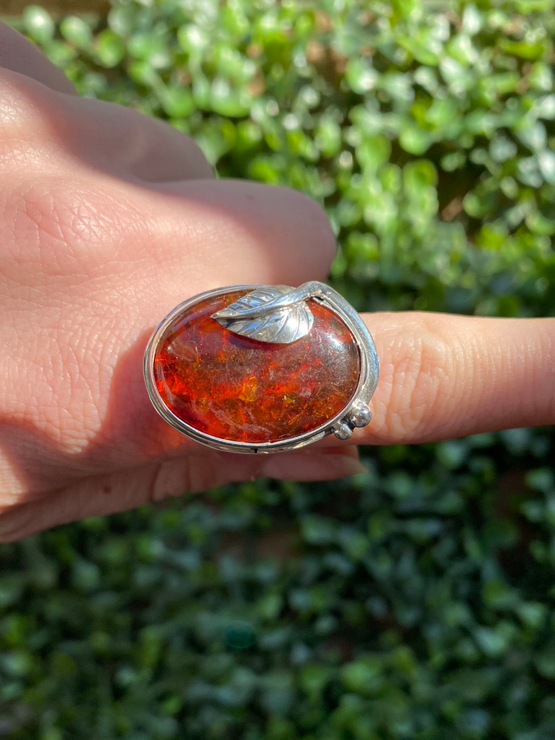 S.S. Shlomo Amber Adjustable Rings