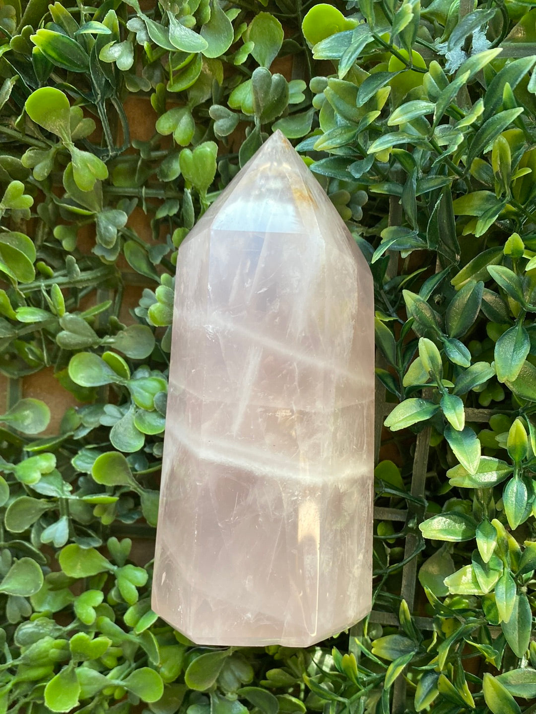 Rose Quartz Points 5”