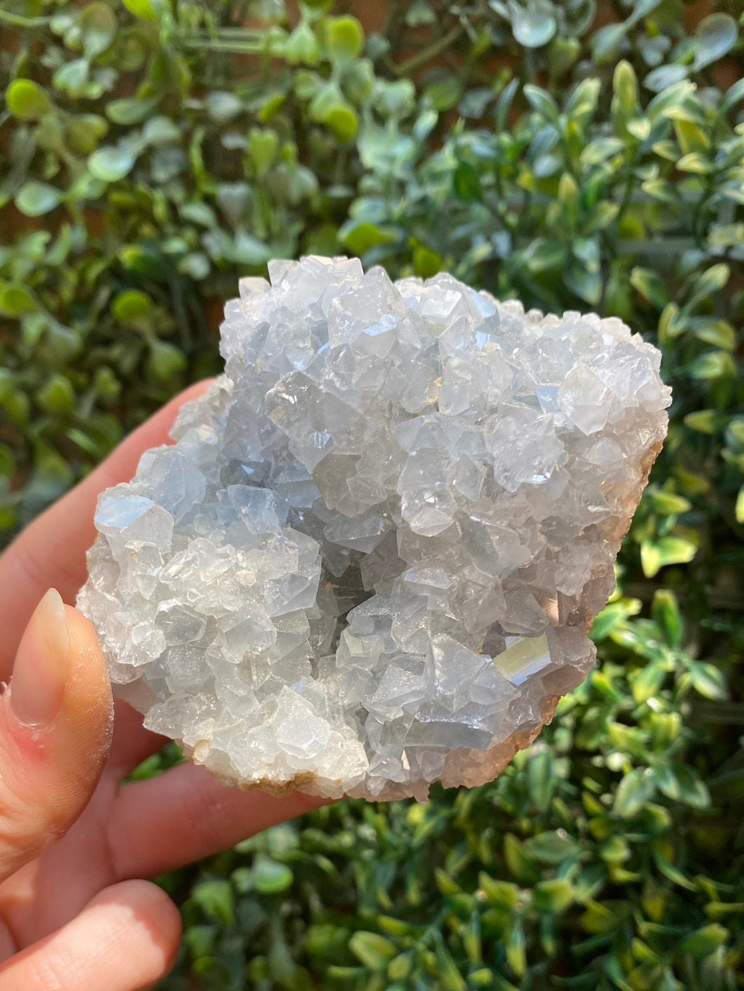 Celestite Geodes