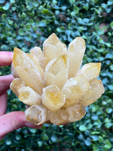 Load image into Gallery viewer, Yellow Quartz Clusters

