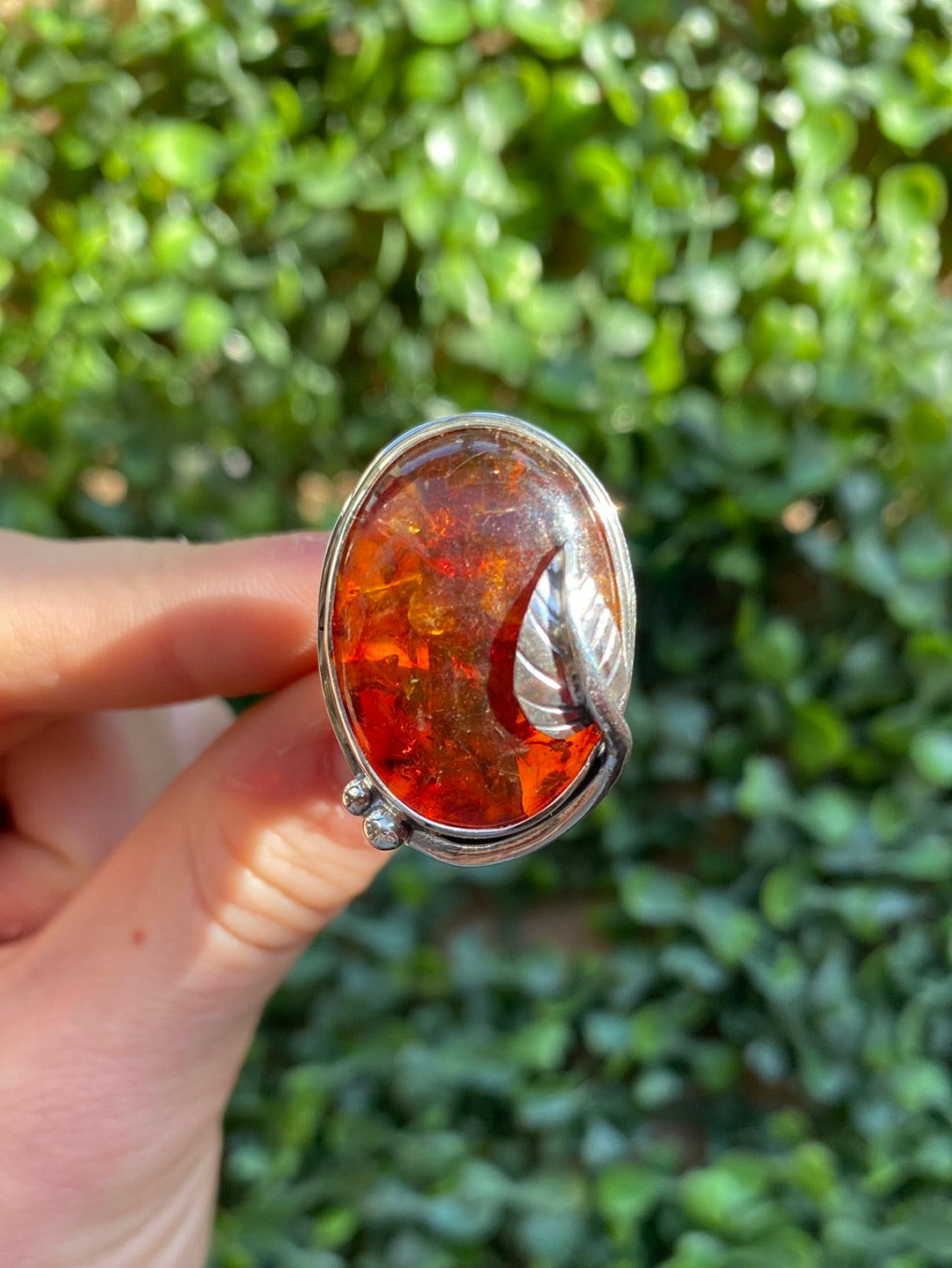 S.S. Shlomo Amber Adjustable Rings